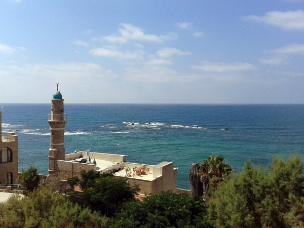 2013-08-05_14_45_54.jpg