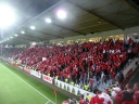 P1030025.jpg