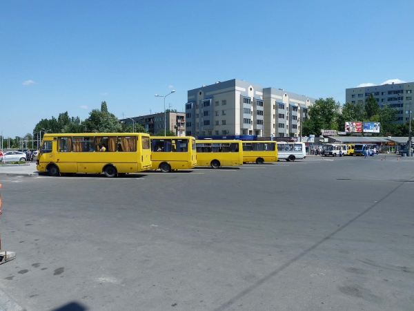 P1000933.jpg