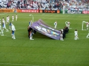 P1010012.jpg