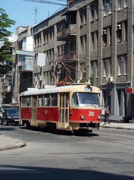 P1010080.jpg