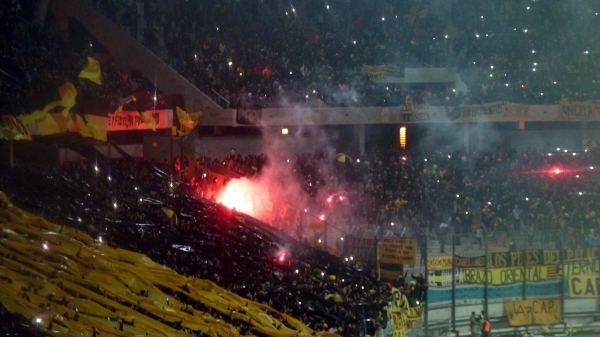 P1040650.jpg