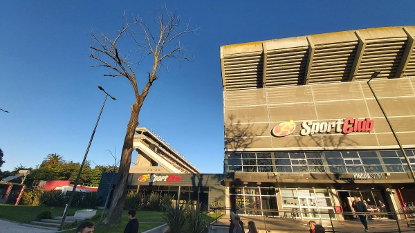 estudiantesgremio002.jpg