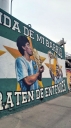 ferro006.jpg