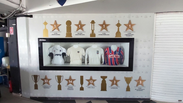 colocolo_006.jpg