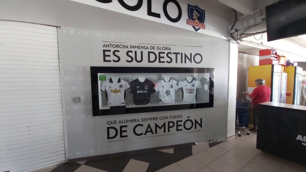 colocolo_007.jpg