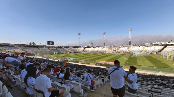colocolo_010.jpg