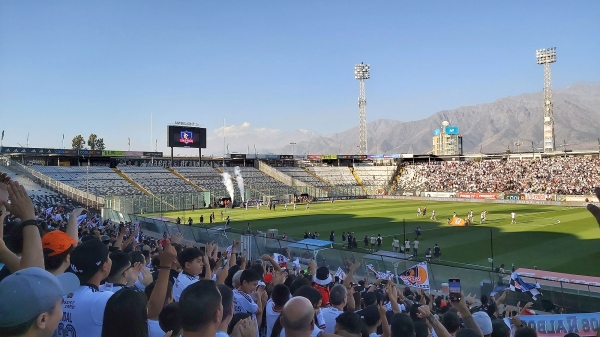 colocolo_021.jpg