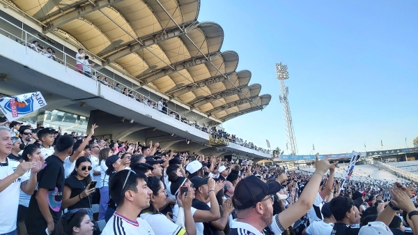 colocolo_022.jpg