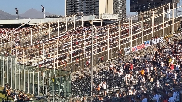colocolo_024.jpg