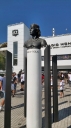 colocolo_004.jpg