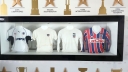 colocolo_005.jpg