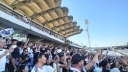 colocolo_022.jpg