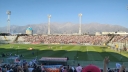 colocolo_023.jpg