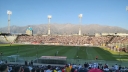 colocolo_025.jpg