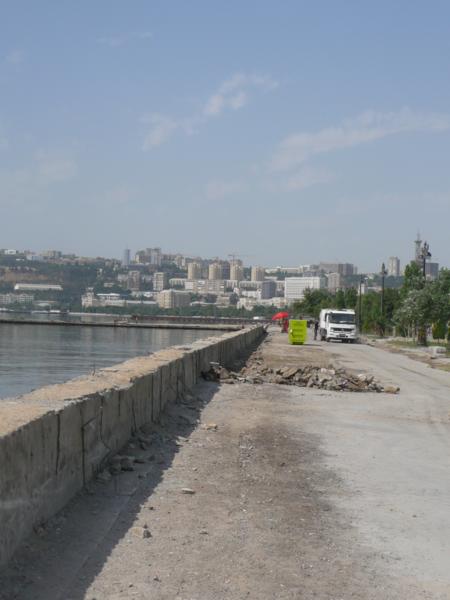 P1020904_450x600.JPG
