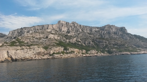 20160629_114114.jpg