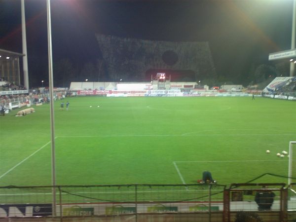 Foto-0013.jpg