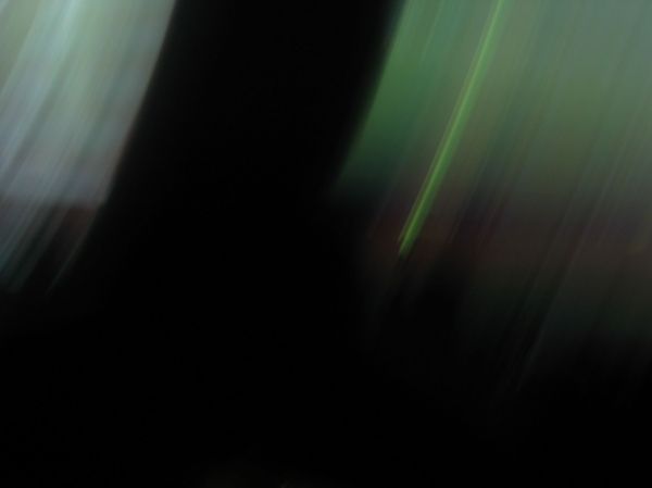 IMG_1231.JPG
