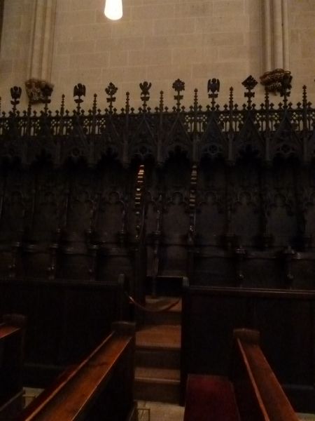 P1000474.jpg