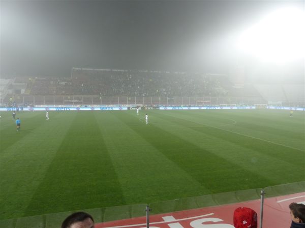 P1000693.jpg