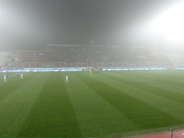 P1000694.jpg