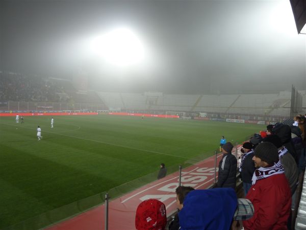 P1000699.jpg