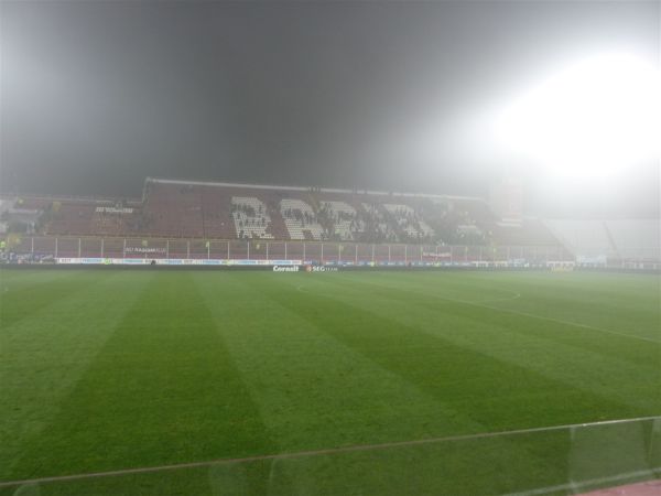 P1000716.jpg