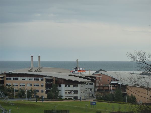 P1000856.jpg