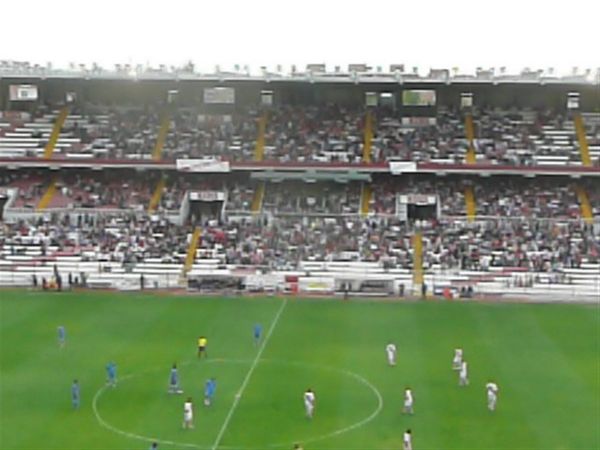 P1010858.jpg