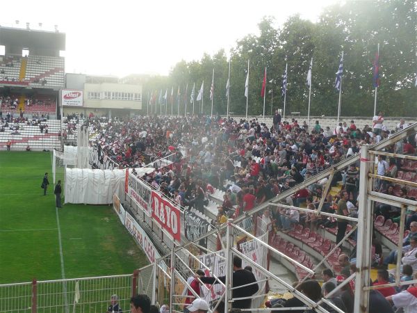 P1010867.jpg