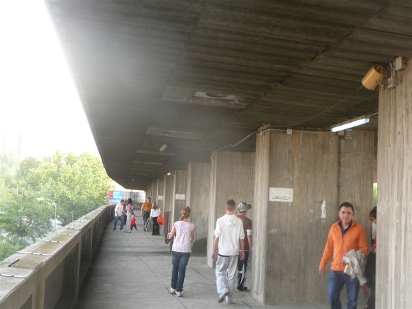 P1010871.jpg