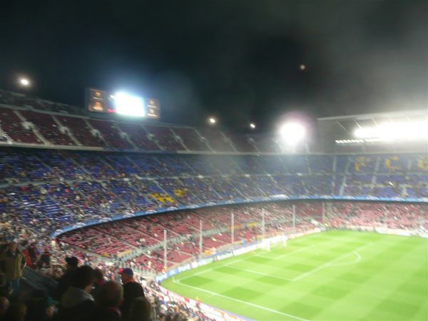 P1010911.jpg