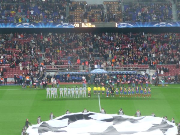 P1010914.jpg