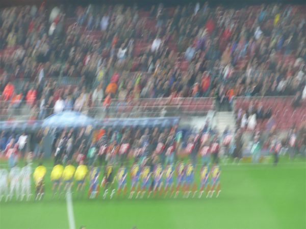 P1010915.jpg