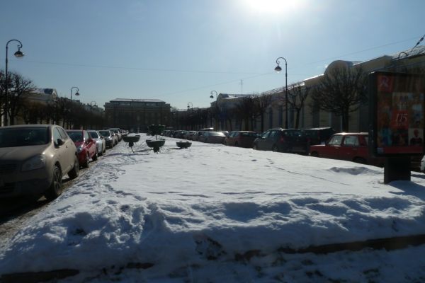 P1020009.jpg