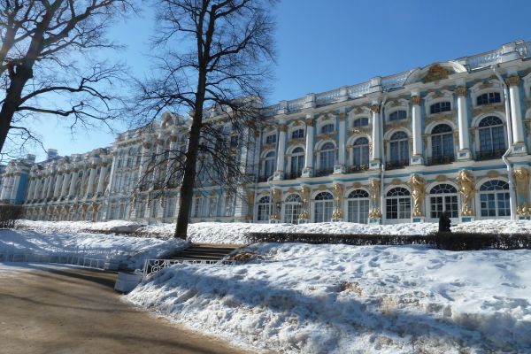 P1020039.jpg