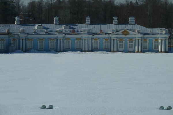 P1020048.jpg