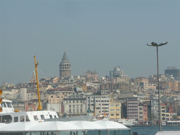 P1020175.jpg