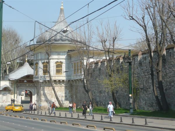 P1020177.jpg