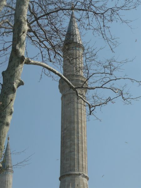 P1020179.jpg