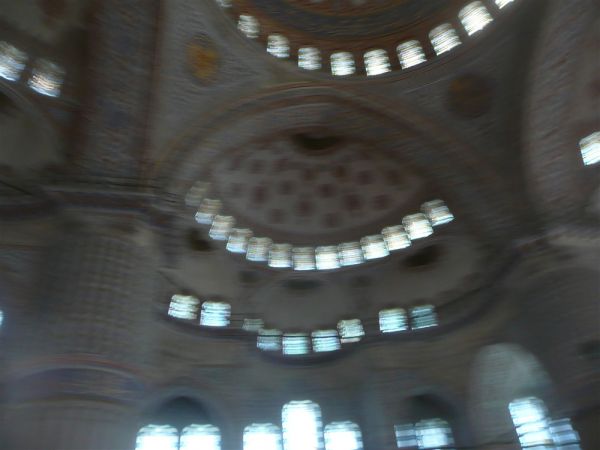 P1020193.jpg