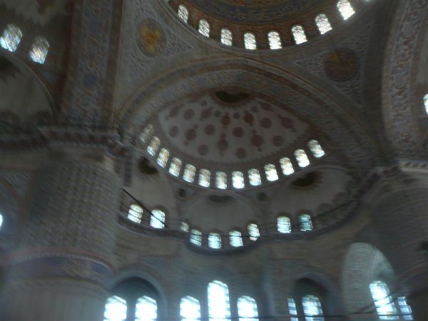 P1020194.jpg