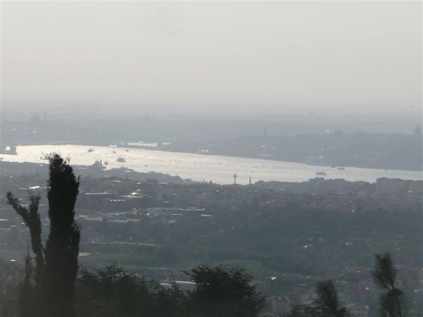 P1020305.jpg