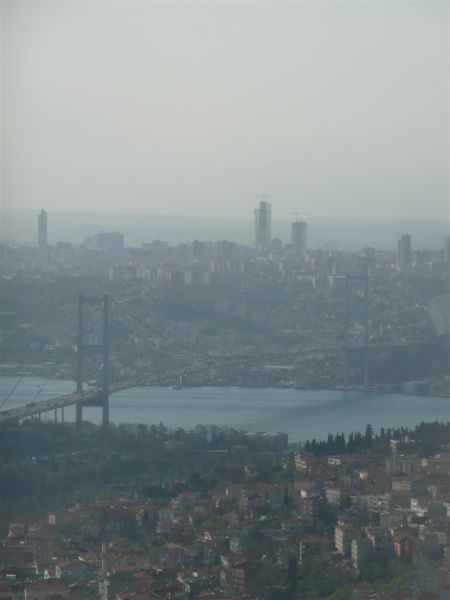 P1020306.jpg