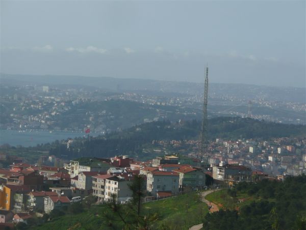 P1020308.jpg
