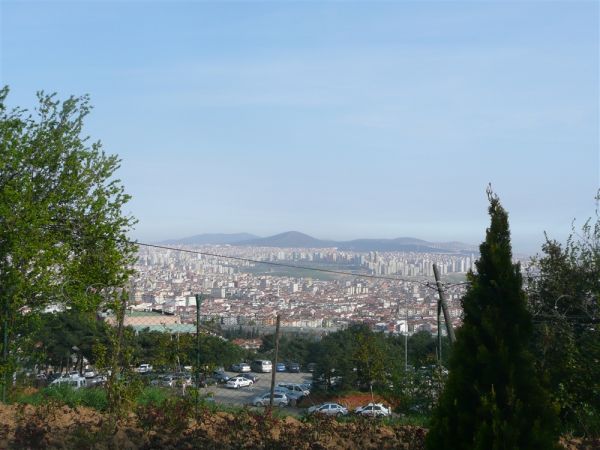 P1020310.jpg