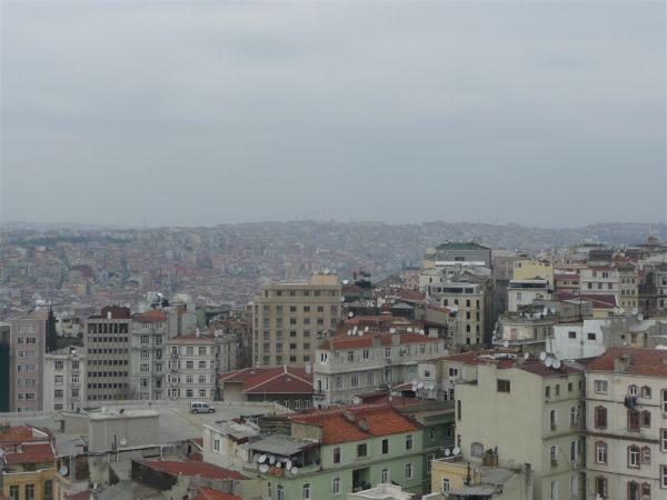 P1020334.jpg