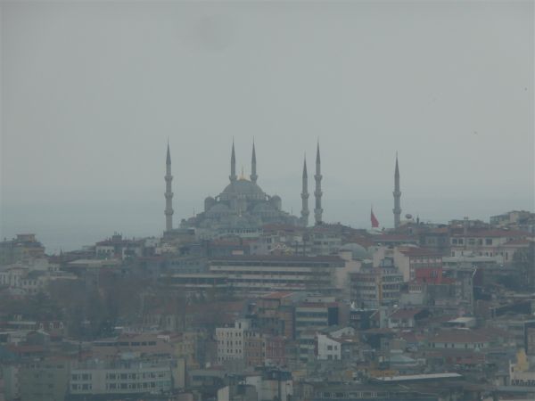 P1020337.jpg