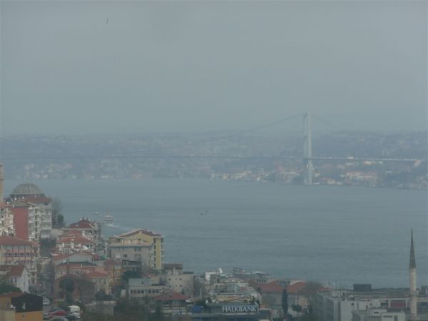 P1020338.jpg